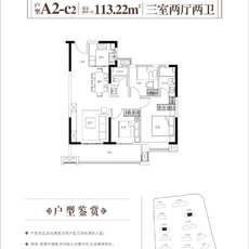 藍悅·滿庭春A2-c2戶型圖