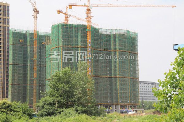 2018061414592363305z6a8u4.jpg IMG_1954_副本.jpg